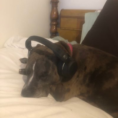 neecholej's profile picture. “GOD is ABLE” 💝🙏🏽 #NCCUAlumni / MBA #survivor