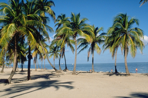 miamibijoux's profile picture. Send us your Miami Events & Event Reviews as @mentions.  Will Retweet.