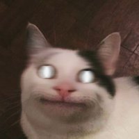 OlebSycho (@olebsycho) 's Twitter Profile