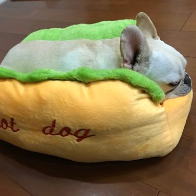 0096kk's profile picture. 岐阜team ABC