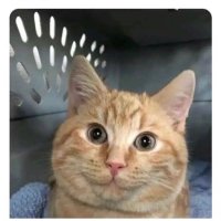 Winner (@bill08429329) 's Twitter Profile Photo Winner (@bill08429329) 's Twitter Profile Photo