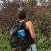 Claire Fonticelli (@typhonti) 's Twitter Profile