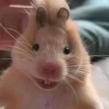 liminnnnnn21's profile picture. 