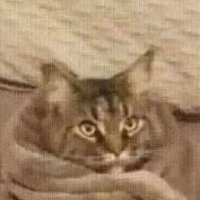 theo (@ohmeiios) 's Twitter Profile Photo theo (@ohmeiios) 's Twitter Profile Photo