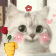 maheduy's profile picture. Love myself