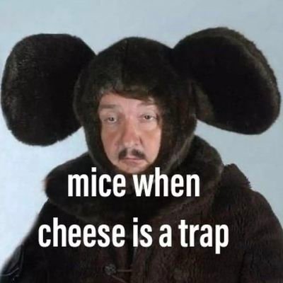 poshemoshe's profile picture. 24, he/him