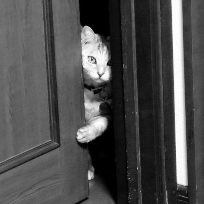 ayunuaaa's profile picture. 麻雀と日常🀄️
MリーグはTEAM雷電推し⚡️⚡️
漫画やゲームのポストも多め　雑多です