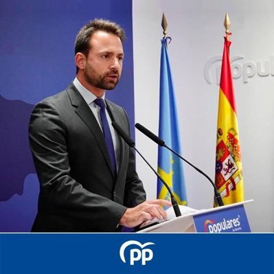 Asturiano, ingeniero, diputado, liberal y reformista. Mente abierta y crítico por prevención.   Presidente del Partido Popular de Asturias.