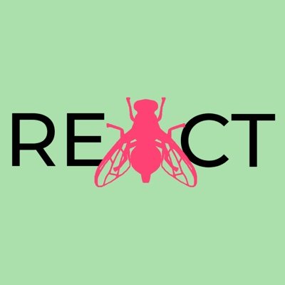 REACT_insect Profile Picture