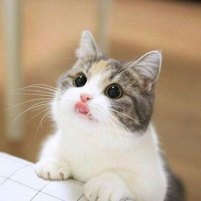 july201918's profile picture. 