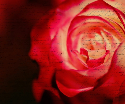 chubbycheeks85's profile picture. 