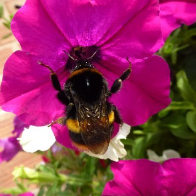 Stargazer4moon's profile picture. Human, she/her without a label and married.
Love Dogs especially ours, Also Nature, Music, Art, Travel, Photography, I believe in Live & Let Live & be kind.