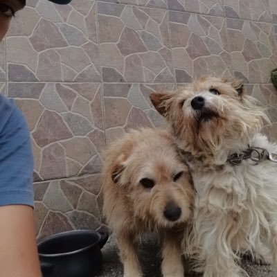 ivan1272's profile picture. 