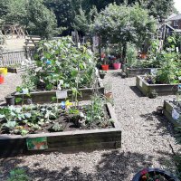 Birkwood in Bloom (@birkwoodinbloom) 's Twitter Profile Photo Birkwood in Bloom (@birkwoodinbloom) 's Twitter Profile Photo
