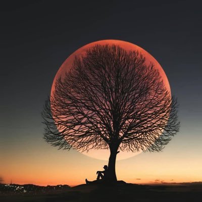 1oziiiii's profile picture. 