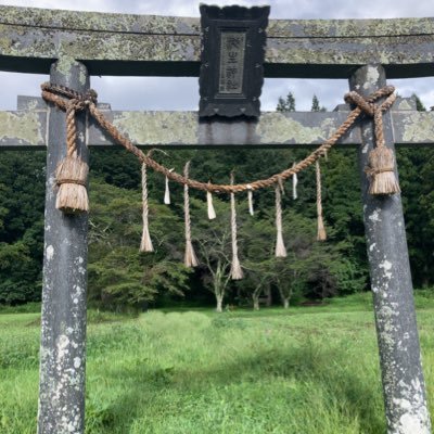 wBTFChHralWVRV0's profile picture. 指揮官、提督、車長、艦長、ポケモントレーナーを兼務