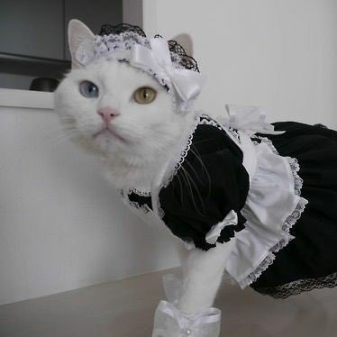 현수🫶🩵🪽さんのプロフィール画像