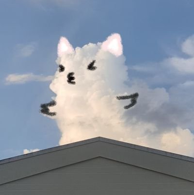 .さんのプロフィール画像