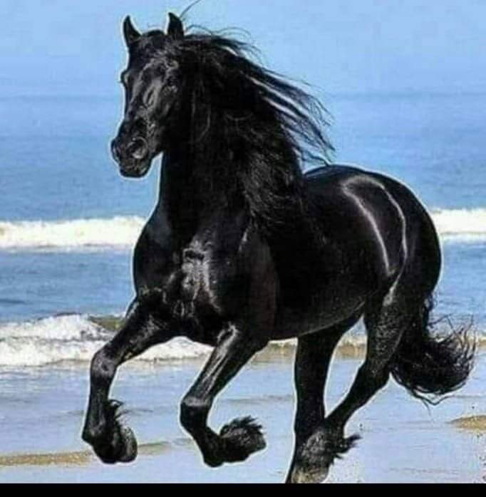 IkoAbdurrahman's profile picture. 