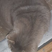 Project Sadie :)) (@sadie_project) 's Twitter Profile