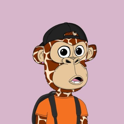 NFTer 20+ #BAYC | Crypto Enthusiast | #BTC HODLΞR #NFTs #MAYC #GameFi #MetaVerse ?????