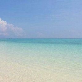 fijiadl15's profile picture. Own Business