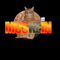 мυѕтαfα кємαℓ I 👣 (@mstfkmlii) 's Twitter Profile