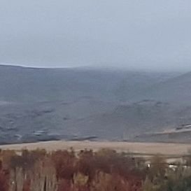 barandazam20's profile picture. براندازم