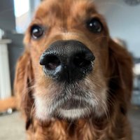 Matt Coombes (@mattcoombes67) 's Twitter Profile