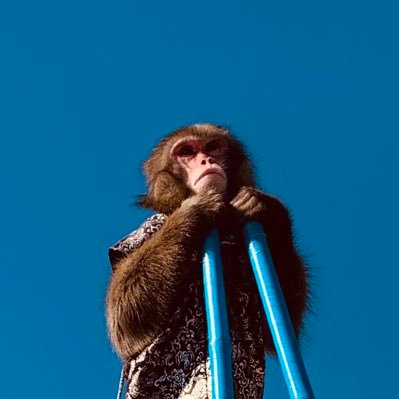 mattuzentai's profile picture. 釜石市在住です。職業は介護事業(小規模多機能、グループホーム、認知症対応型デイサービス)を経営してます。趣味はゴルフとラグビーです。無言フォロー失礼します。