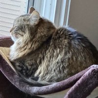 Robbins Reality Check (@lyddlenybble) 's Twitter Profile