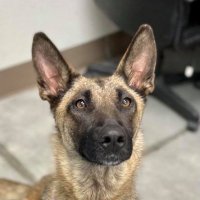 Ann Watkins (@annwatk56558096) 's Twitter Profile