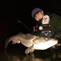 佐々木亮太 Seabass Links (@seabasslinks) 's Twitter Profile