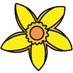 Daffodil Hill Press (@DHPDecodables) Twitter profile photo