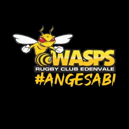 Wasps Rugby SA