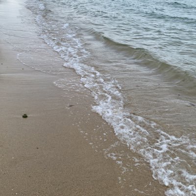 上杉昇さんファンです。あとなんか面白いもの /カッコいいもの/イヌ猫さま/お気に入り洋楽探し中🎼🎧よろしくお願いします。