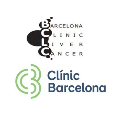 The BCLC group was created in 1986. We are a multidisciplinary group dedicated to the management and research in liver cancer.