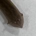 MF WORM (@mfworm_) Twitter profile photo MF WORM (@mfworm_) Twitter profile photo