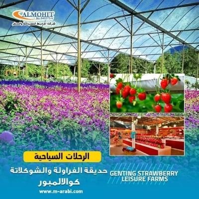 *عروض حصرية ومميزة وبأسعار مخفضة 🤩*
*💥🔥وعروض خاصة لعملاء الشركة*
*ماليزيا*
*اندونيسيا*
*سنغافورة*
*تايلند*