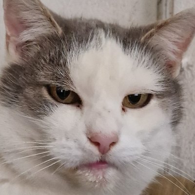 michihyper's profile picture. ...