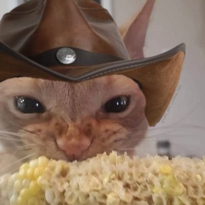 BreezyBeanz's profile picture. BLEH
Artist