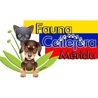 SOS Fauna Mérida (@sosfaunamerida) 's Twitter Profile