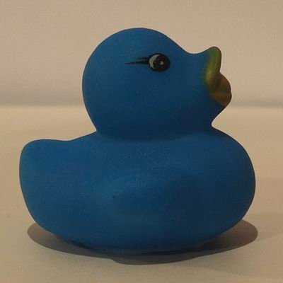 Duck Race NFT 🦆🏁さんのプロフィール画像