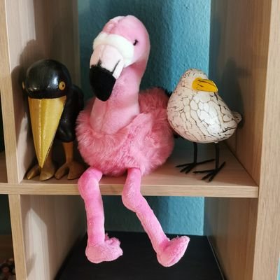 Nana40239's profile picture. 