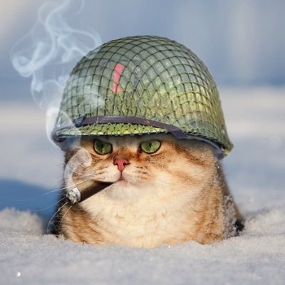 SgtNasty11B20's profile picture. Find me on #mastodon at: @sgtnasty@mastodon.social