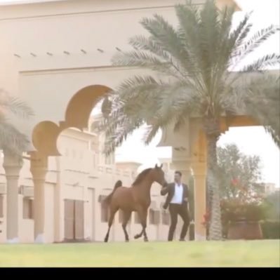 KVWAITY's profile picture. "فانية .. فكُن أنسان