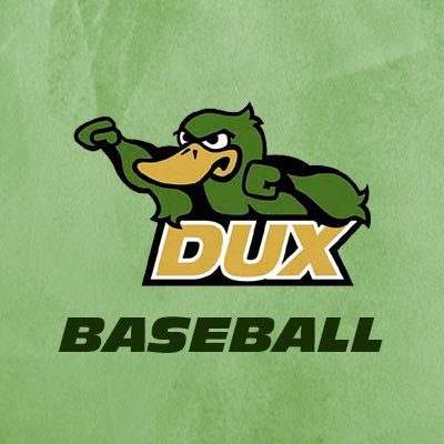 Official Home of the Zeeland West Dux Baseball Program #GoDux