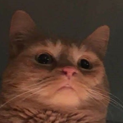 laming_flamingo's profile picture. 18 yo.
Just lurking.