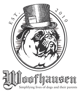 Dog enthusiasts sharing all things fun for dogs and their human friends.