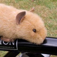 David Arditti (@voleospeed) 's Twitter Profile